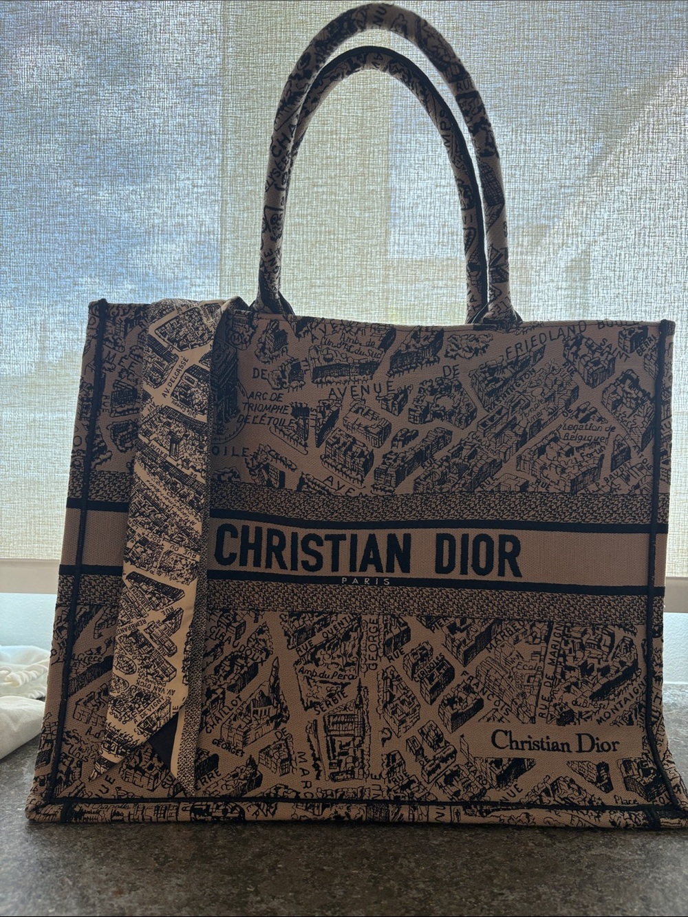 Dior Beige and Black Map-Print Tote